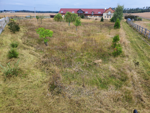 Seč neudržovaných pozemků